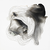 shell2